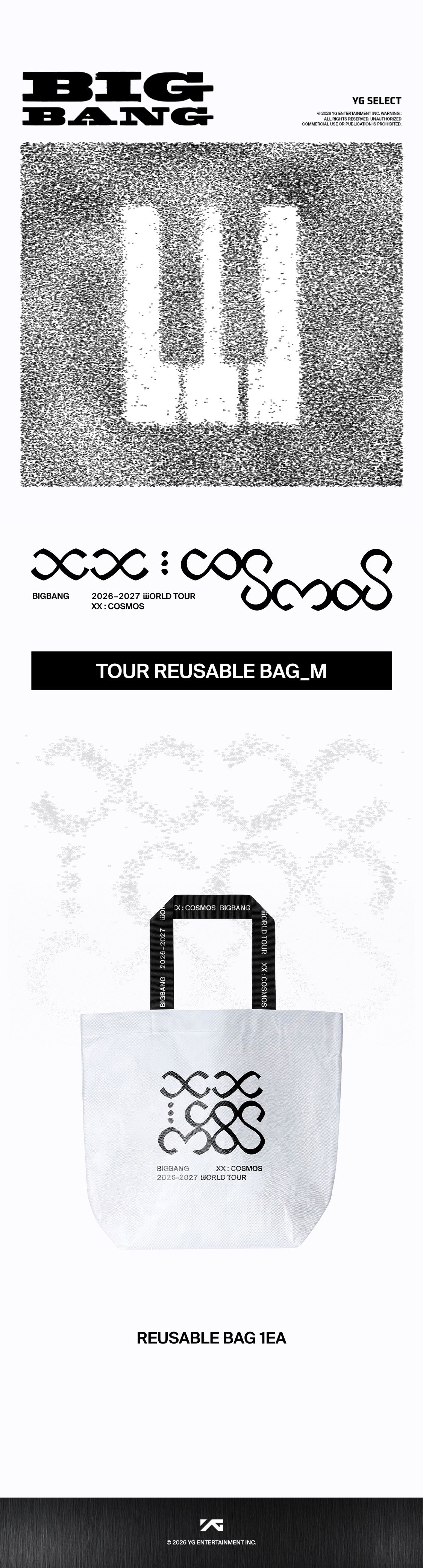[COSMOS] BIGBANG TOUR REUSABLE BAG_M - YG SELECT